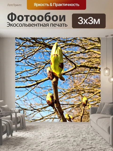 Фотообои Дерево