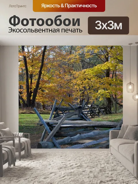 Фотообои Жокей Hollow