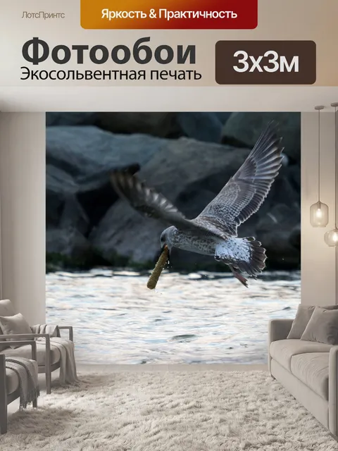 Фотообои Чайка