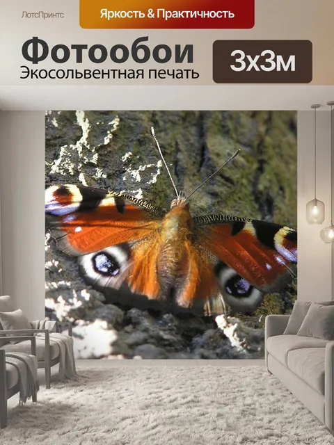 Фотообои Природа