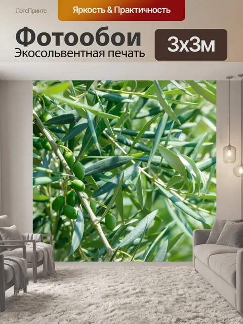 Фотообои Выращивание оливок