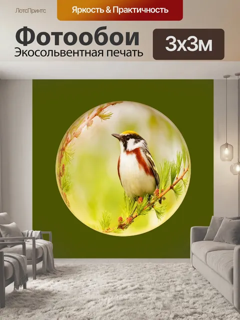 Фотообои Птица
