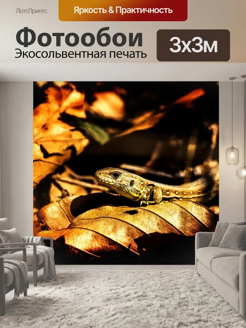 Фотообои Природа