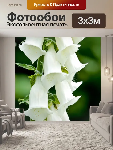 Фотообои Полевые цветы