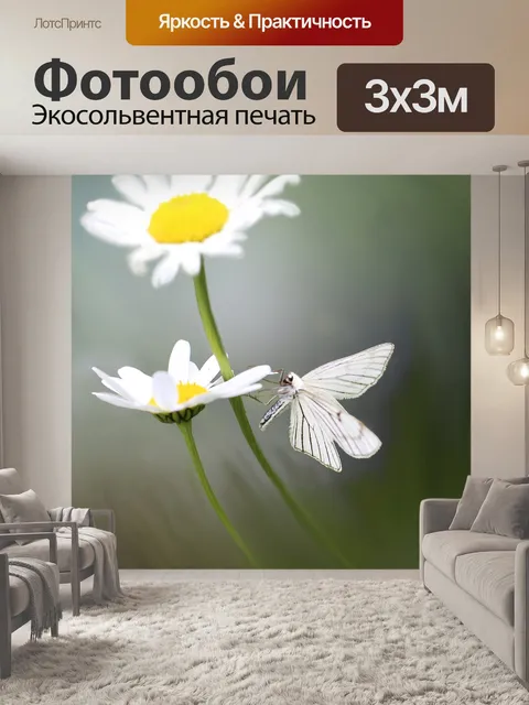 Фотообои Бабочка