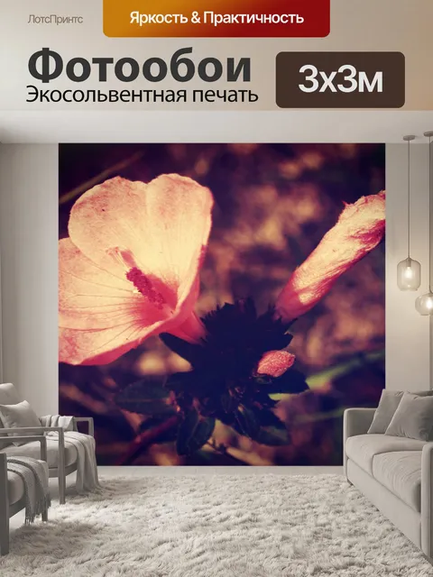 Фотообои Красивый цветок