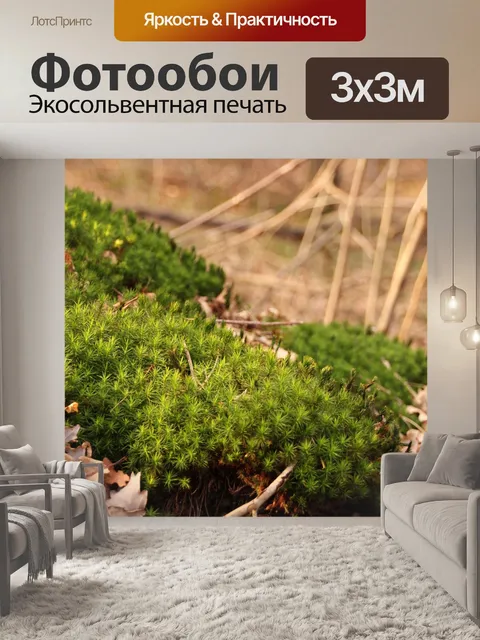 Фотообои Мох