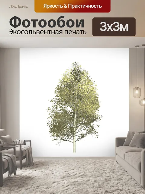 Фотообои Осина