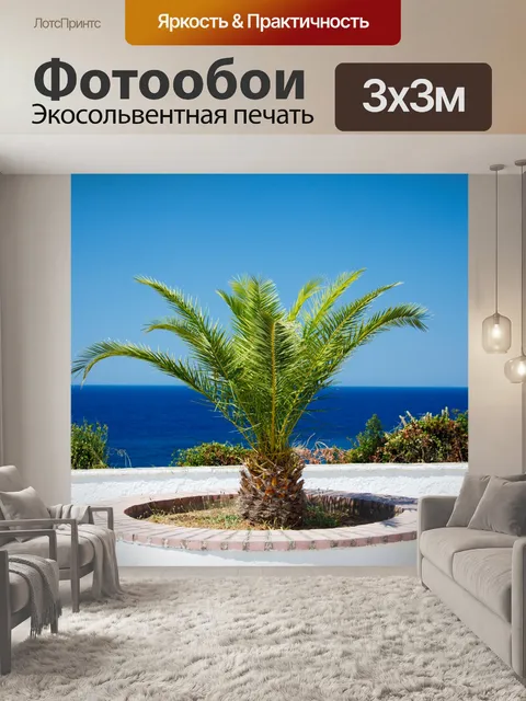 Фотообои небольшой пальма