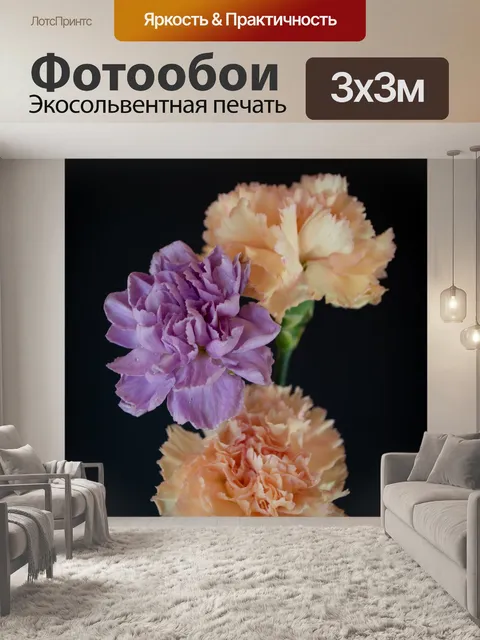 Фотообои гвоздики, букет, бутоны, цветы