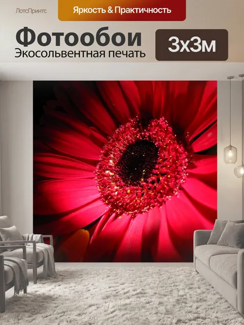 Фотообои Ярко красный цветок, Дейзи