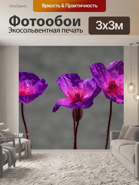 Фотообои фиолетовый цветок мака
