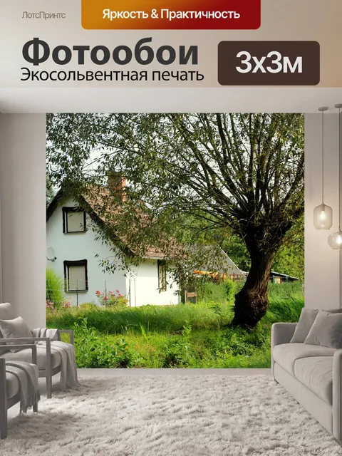 Фотообои Деревня