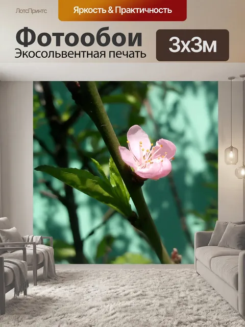Фотообои Цветок
