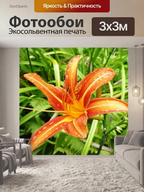 Фотообои Лили