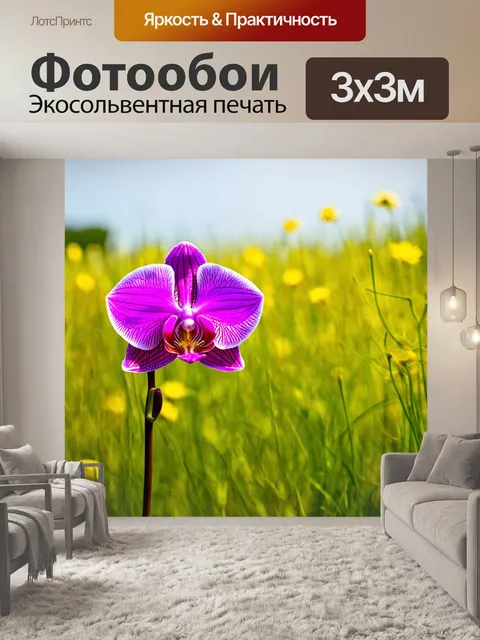 Фотообои орхидея, контрастирующая с летним луком, с яркостью цветов