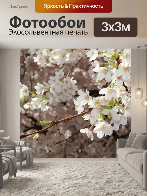 Фотообои Сакура