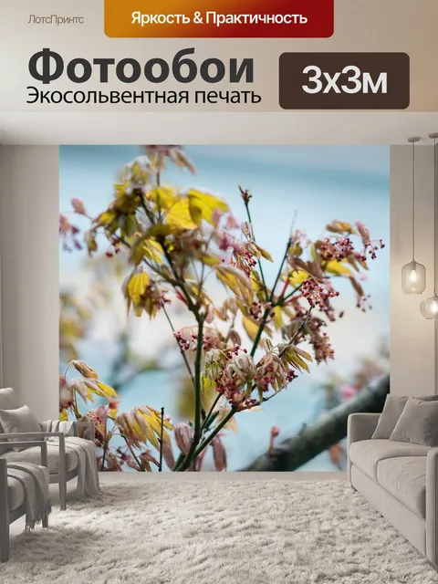 Фотообои Новая весна