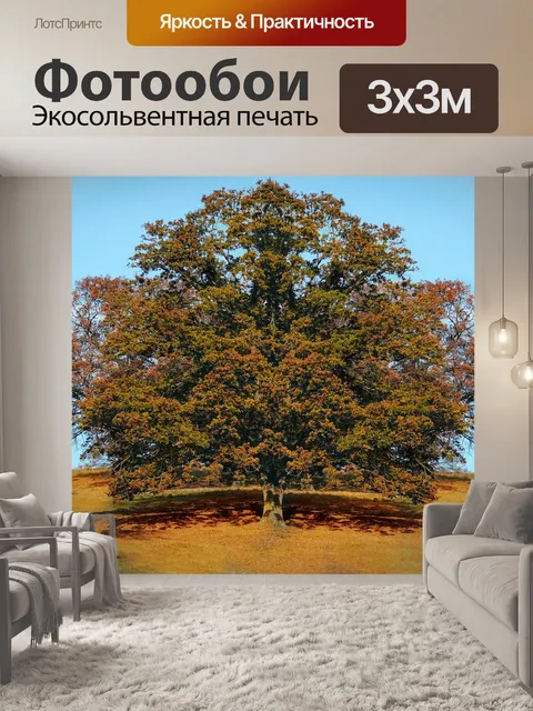 Фотообои Дерево