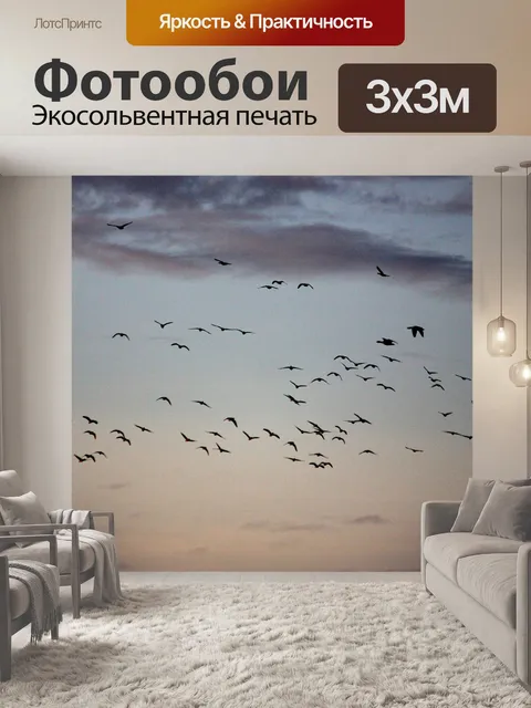 Фотообои Птицы