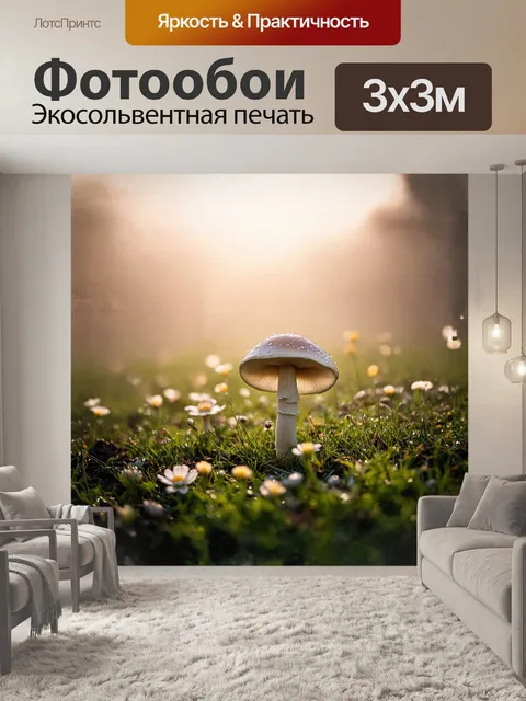 Фотообои на идиллическом лугу в утреннем тумане находятся шампиньоны, которые как будто мерцают в утреннем свету