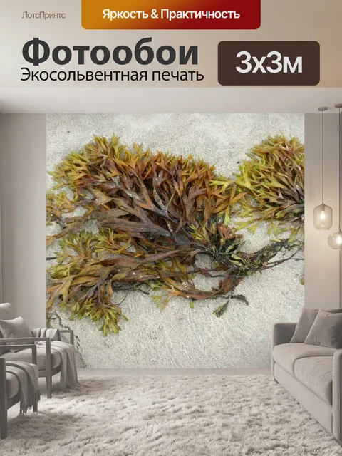 Фотообои Водоросли