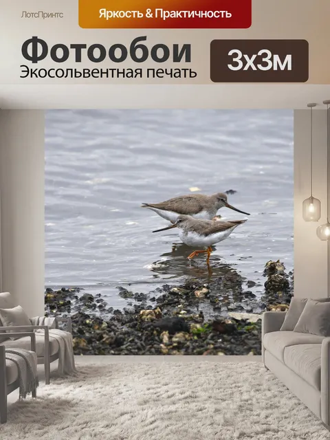Фотообои Птица