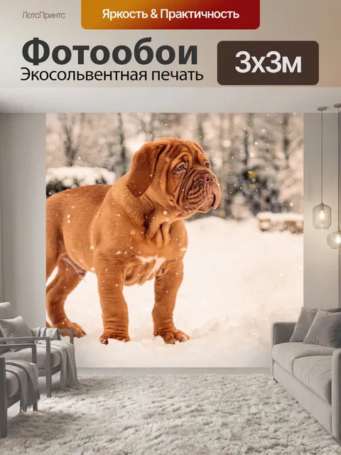Фотообои Животное