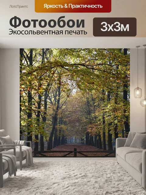 Фотообои Проспект