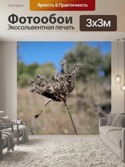 Фотообои Природа
