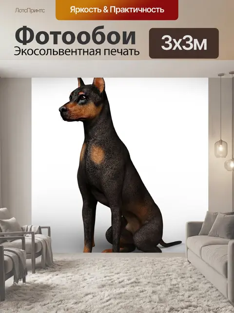 Фотообои Собака