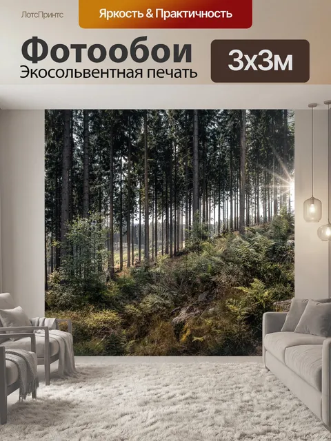 Фотообои Лесная тропинка