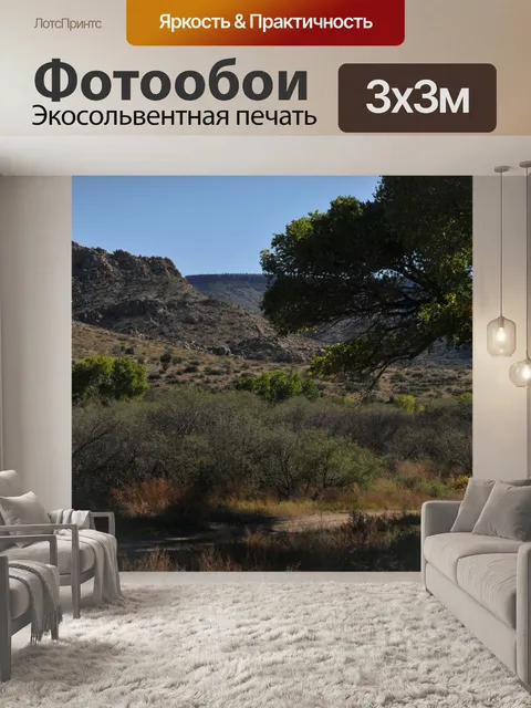 Фотообои Осень в пустыне