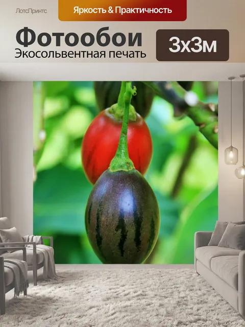 Фотообои фрукты на дереве помидор