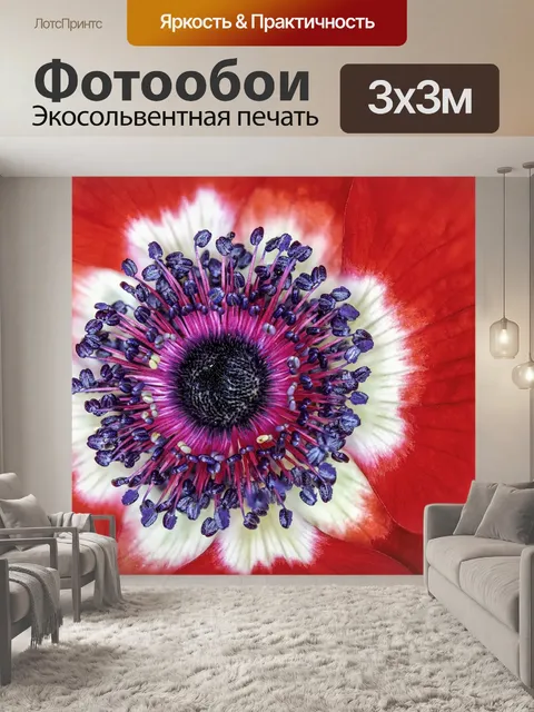 Фотообои Цветы