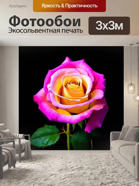 Фотообои розы в стиле раскраска, стремление к минимализму, фокус на одном цветке