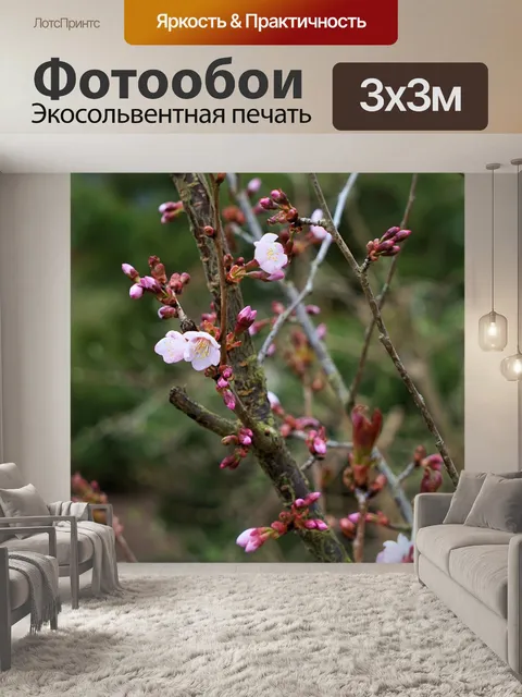 Фотообои Цветы