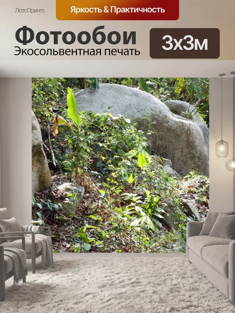 Фотообои Джунгли валуны