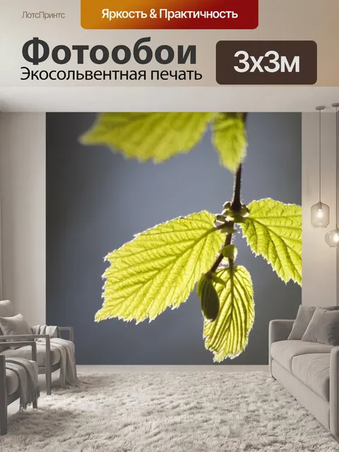 Фотообои Листья