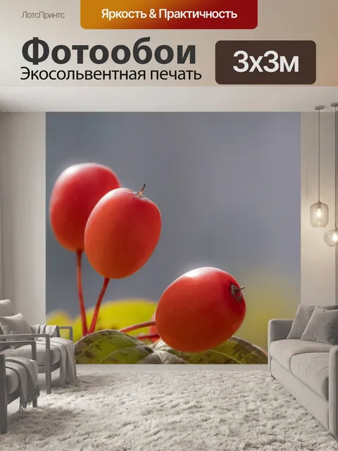 Фотообои Осень