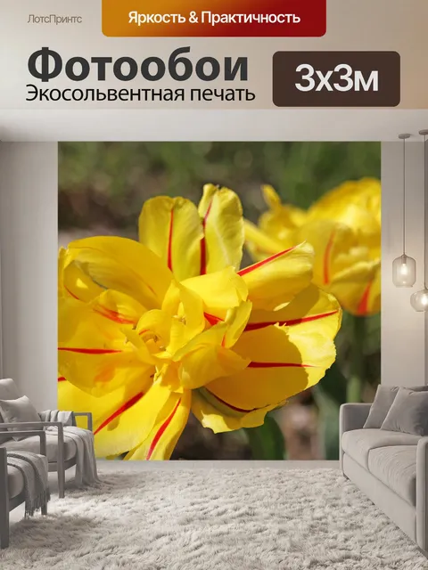Фотообои Тюльпаны