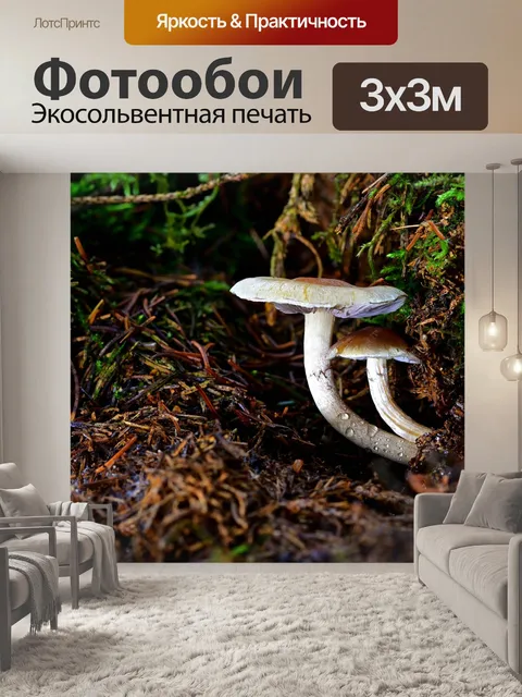Фотообои Лес