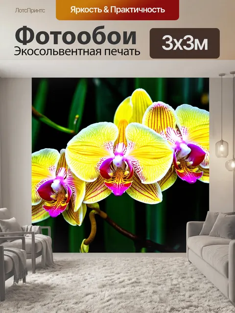 Фотообои цветы, экзотические виды цветущих орхидей с яркими оттенками