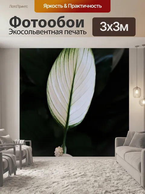 Фотообои Лист растения мирной лилии