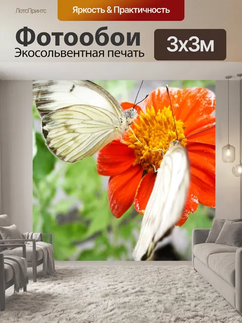Фотообои Бабочки