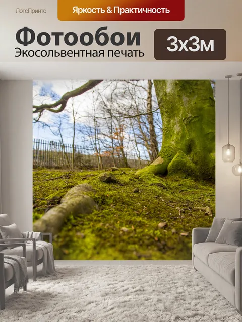 Фотообои Мох