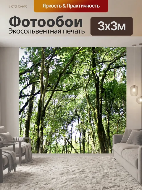 Фотообои Природа горы Фу Руа
