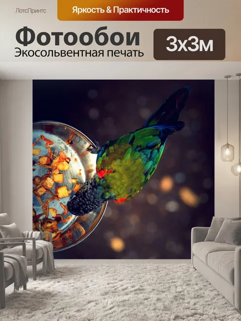 Фотообои Птица