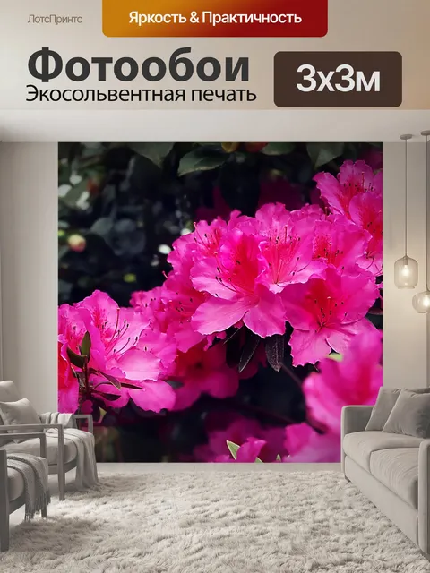 Фотообои Цветы