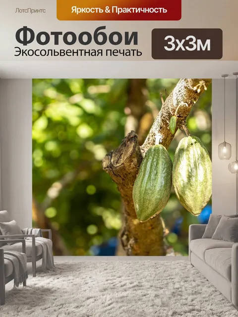Фотообои Шоколад